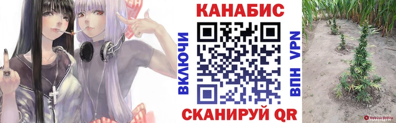 ЭКСТАЗИ Тобольск