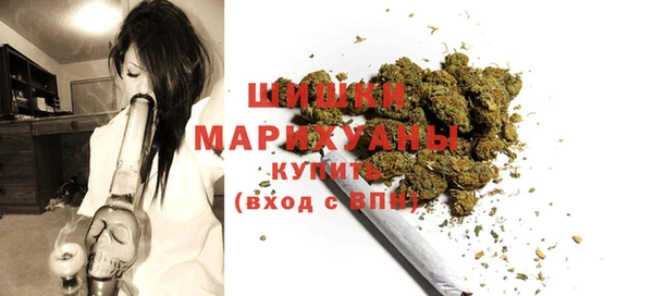 стаф Аркадак