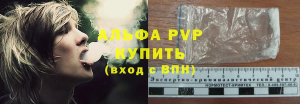 стафф Алзамай