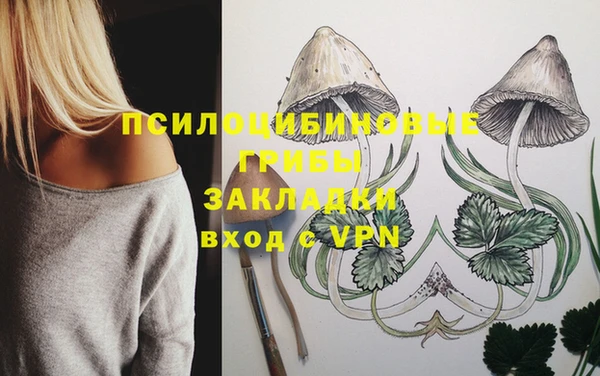 mix Алексин