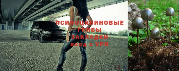 mix Алексин