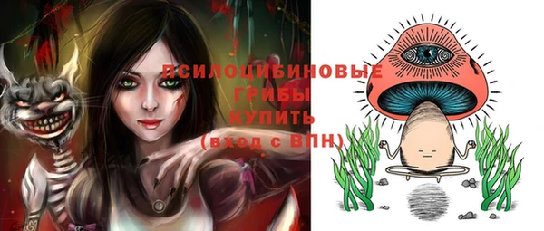 стафф Алзамай