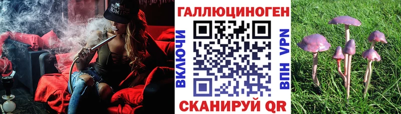 KRAKEN рабочий сайт  Тобольск  Псилоцибиновые грибы прущие грибы 